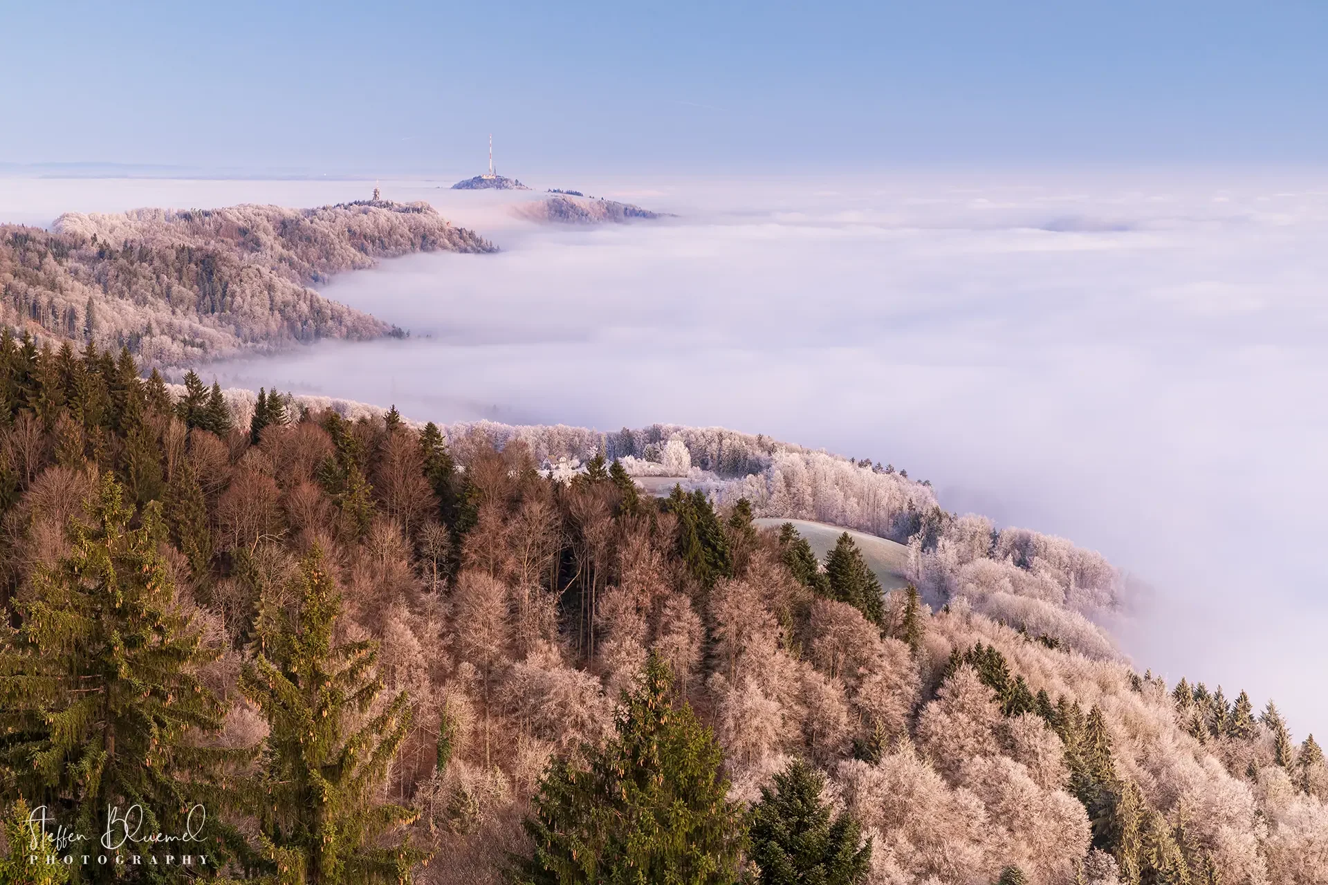 Nebelmeer über Zürich