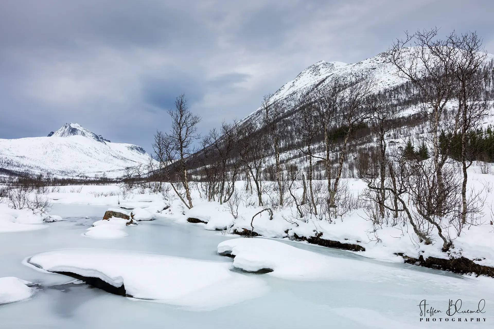 Winter-Wonderland Senja