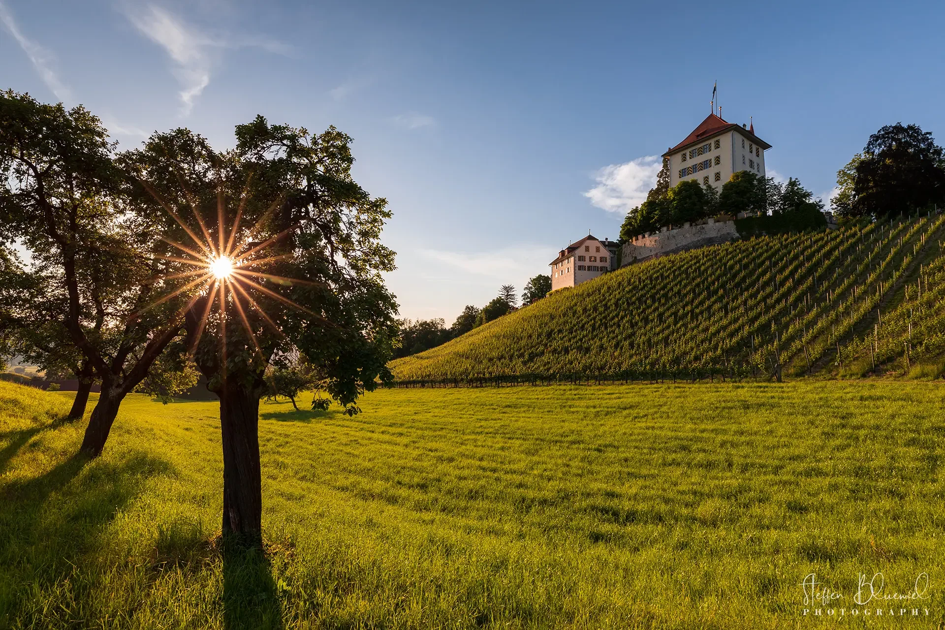 Schloss Heidegg  Gelfingen / CH