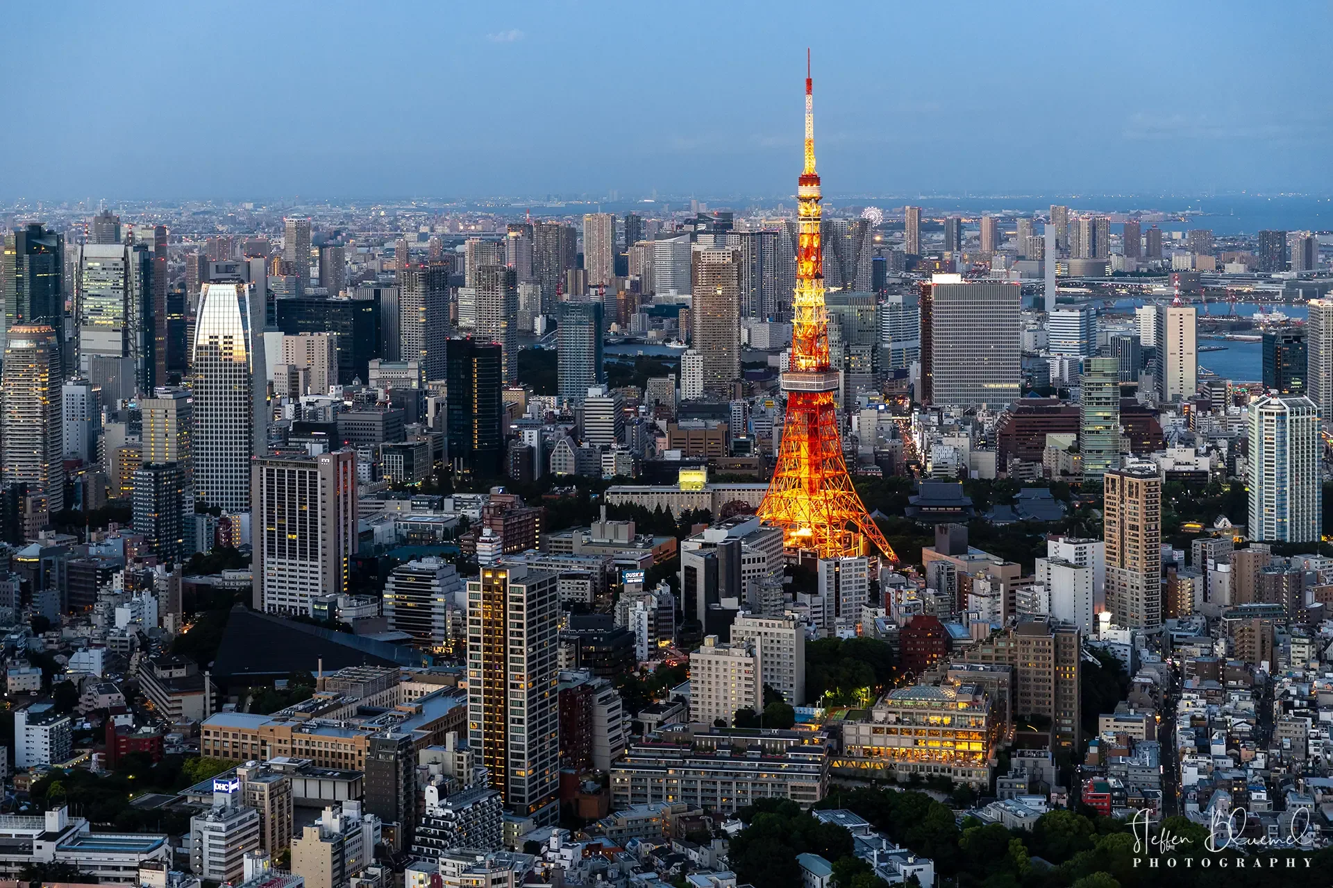 Der leuchtende Tokyo-Tower im Häusermeer  Tokyo / JP