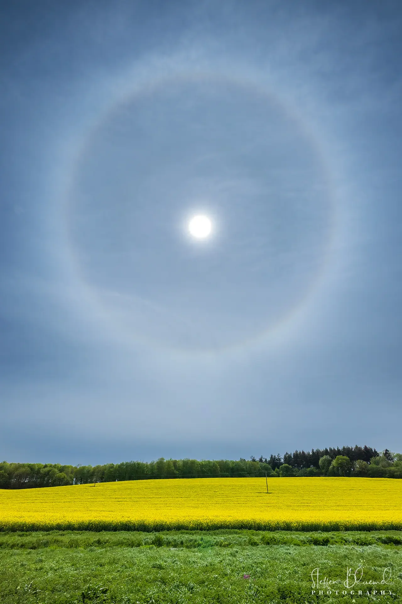 Sonnenhalo Dorset / UK
