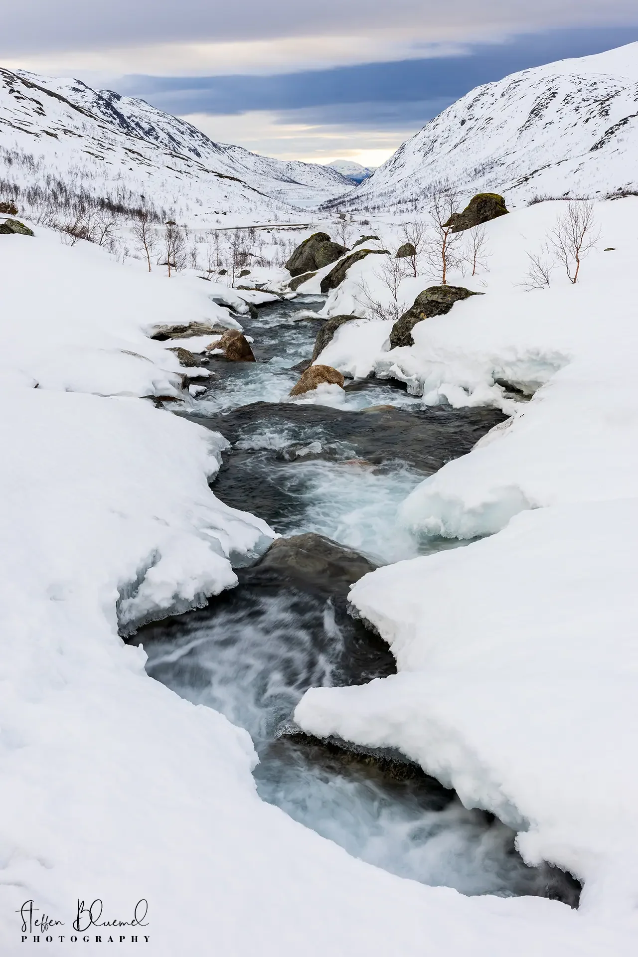 Winter-Wonderland 2  Senja / NO